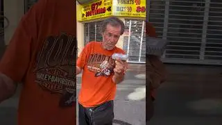 Older Woman 👩&zwj;🦳Supermarket Dons Wife🔫 ￼