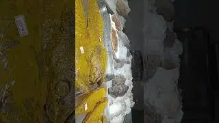 Grill fish live fish mall #fishgrill #fishmasala