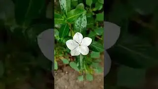 Mn mast magan... _Retouch effact reel #instagramreelsviralvideoediting #reels #reelkarofeelkaro 🥰🥰❤💫