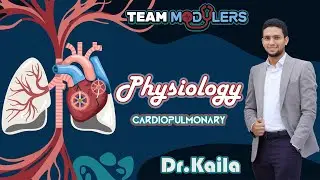 Hemorrhage Shock Arteriole Vein Capillary Coronary Revision