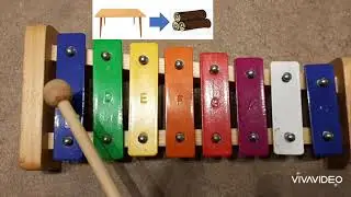 Canzoni per Bambini 👶 CI VUOLE UN FIORE 🌷🌳 Xilofono
