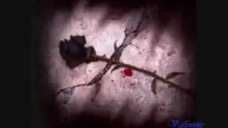 Evanescence- Missing Demo version