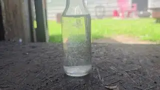 Precipitating pure capsaicin solution out into vinegar to make my own version of Frostbite Hot Sauce