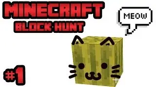 Meow :3 | BLOCK HUNT | Minecraft Mini-game
