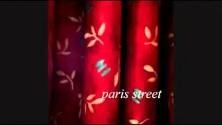 Paris Street - Folk Song 8