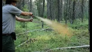 Bear Safety in Alaska- How to use Bear Spray