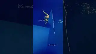 🧜&zwj;♂️ Merman &middot; Real Customer Video Showcase