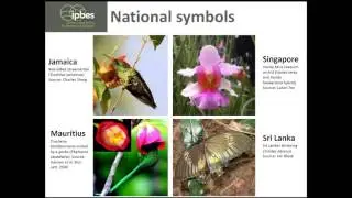 IPBES Webinar Series Webinar 3 The IPBES Pollination Report outcomes and lessons learnt