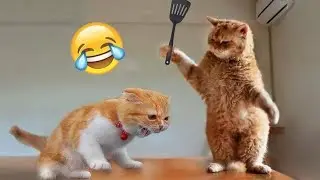 Best Funny Video 🤣😅