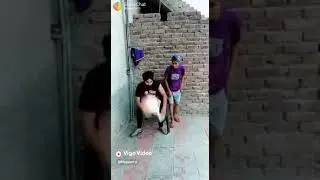 Baddo bhadralok