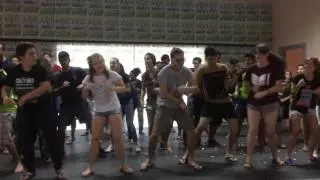 Roll Call LCPs 17 Brazil - Crazyanes