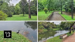 Nawala Urban Wetland Park, Sri Lanka - A Scenic Photo Tour - video 1