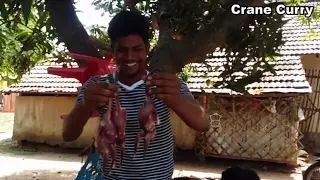 Birds Cooking in My Village | Crane Curry Making in Village Style | How to Prepare a Stork Curry