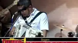 Siggno Performing 