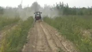 leafhopper control