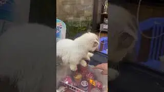 Самое жестокое место на планете