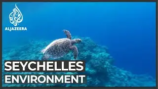 Seychelles sets up protection for 30 percent of surrounding sea