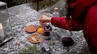 Winter foraging and holiday making &ndash; December in the Wyld
