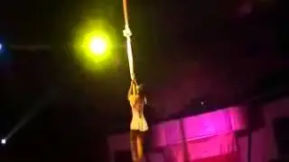 Ajanta Circus