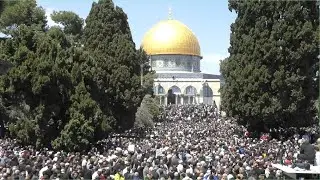صلاة العشاء والتراويح من المسجد الاقصى المبارك 7 رمضان 1446 Live broadcast from the  Al-Aqsa Mosque