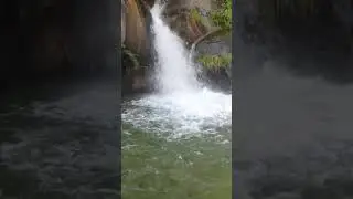 Mansehra phulra tarbori❤