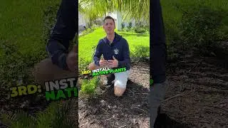 How To Hurricane Proof Your Garden