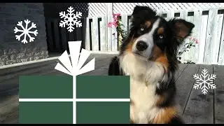 It's Beginning To Look A Lot Like Christmas - Vlogmas 2016 - Day 3