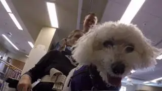 Animal Assisted Therapy at Craig: Andrew & Senor
