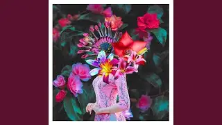 Lotus Lament