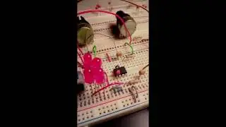 Pushing Some Button on my Overdrive / Distortion Effect |  #Shorts 001 | Goat Noise