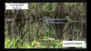 The Southeast Region of the USA | Geography for EL, ELL, ML