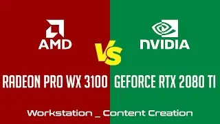 AMD Radeon Pro WX 3100 vs nVidia GeForce RTX 2080 Ti - Workstation _ Content Creation Benchmark