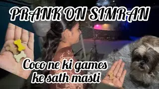 Played games with Coco or did a prank with Simran😇🙂&zwj;↕️🙂&zwj;↕️🤫🙌🏻🫶🏻😎💕💕❤️