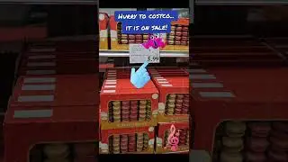 Best SALE ever!