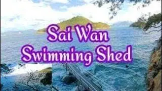 Sai Wan Swimming Shed - Swim Spot / Hong Kong Island / AyrinPink
