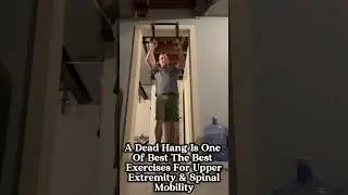 Dead Hang A Great & Simple Exercise To Stretch The Back, Stretch & Strengthen The Upper Extremity