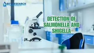Determination of Shigella & Salmonella Bacteria from Fish Waste Water 🦠🔬 [part 1]