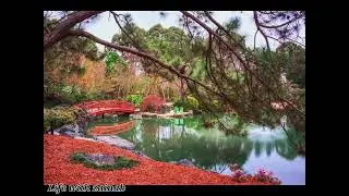 Japanese Garden Sydney | Life with Zainab | Beautiful Natural views