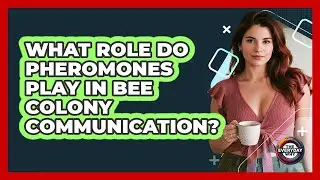 What Role Do Pheromones Play In Bee Colony Communication?