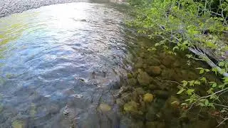 Day 4, Clip4 - Fish Saco Continued - June 24, 2020