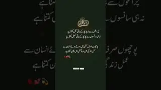 Zindagi #urdupoetry #deeplines #inspirationalquotes #new #2026 #foryou