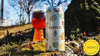 The Alchemist | Harvest (5.7% Lager with New Experimental Hop HBC 1134) | Beer Review