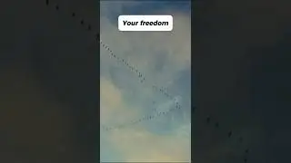Your Freedom Has No Limits #motivation #quotes #inspiration #shorts