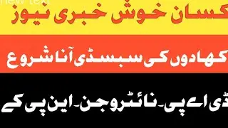 DAP subsidy ana shuro | Dap new update | Subsidy auto payment start