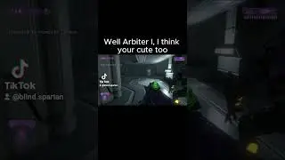 It's like they knew. #blindgamer #gaming #halo #halomcc #halo2