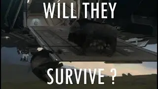 Can you Capture Cows in Star Citizen 4.0 ?