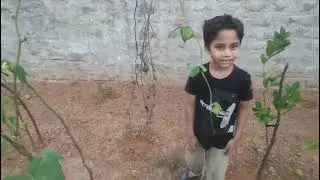 వరిగొండ  లో మా తోటను చూపిస్తూ 