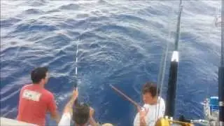 Relach&eacute;e de marlin par Erakis