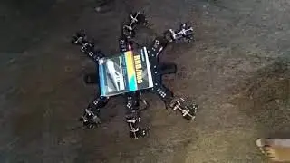Hexapad Robot