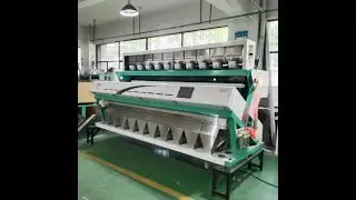 Color sorter for wheat processing